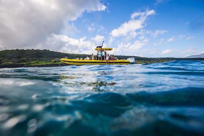 1.5-Hour Guided Whale Watching Tour - North Shore stop: surf-warning country and fast-changing conditions