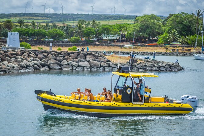 1.5-Hour Guided Whale Watching Tour - The 18-passenger Zodiac-style boat experience in real terms
