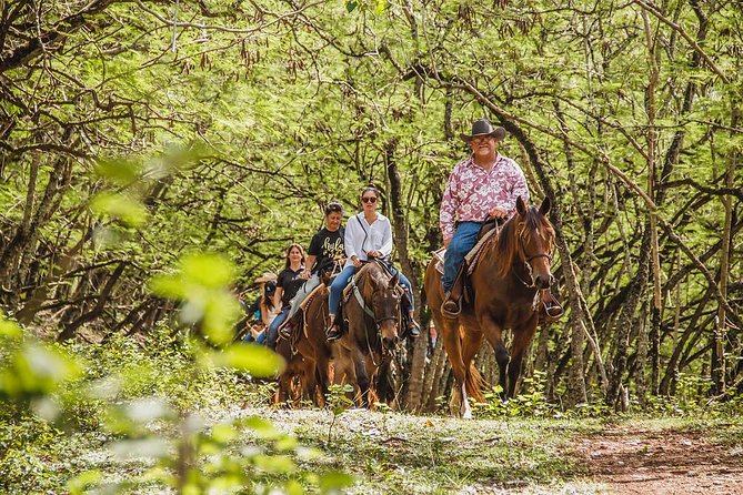 1 Hour Scenic Horseback Ride - Key things to know before you ride