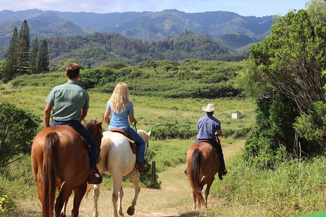 1 Hour Scenic Horseback Ride - What the 1-hour walking ride is actually like