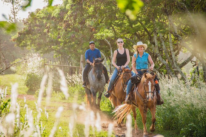 1 Hour Scenic Horseback Ride - Timing and check-in: the part that can ruin your day
