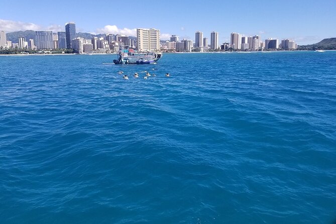 12pm Turtle Canyon Snorkel Adventure - Who this 12pm Holokai Turtle Canyon trip is best for