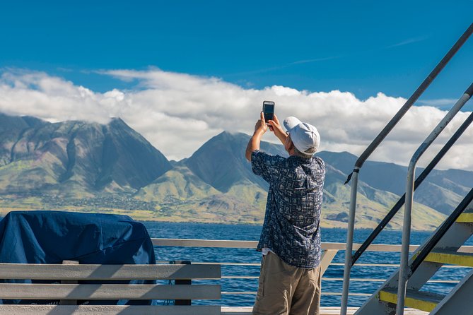 2-Hour Oahu Whale Watch from Ala Wai Harbor, Waikiki - Waikiki humpbacks: why this route feels special