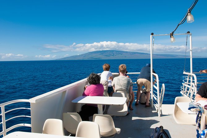 2-Hour Oahu Whale Watch from Ala Wai Harbor, Waikiki - How whale spotting works on a 2-hour cruise