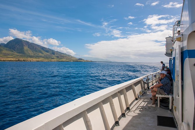 2-Hour Oahu Whale Watch from Ala Wai Harbor, Waikiki - Who this whale watch is best for (and who should rethink it)