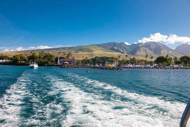 2-Hour Oahu Whale Watch from Ala Wai Harbor, Waikiki - Small details that can make or break your day