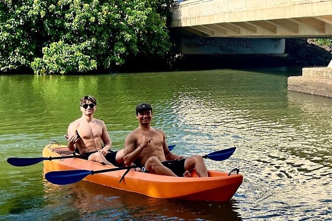 2 hour tandem kayak rental at our private launch area in Hale'iwa - Sea turtle etiquette: what you should do when you see them