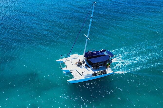 2 Hour Waikiki Whale Watching in Honolulu - Who should book this, and who should skip it
