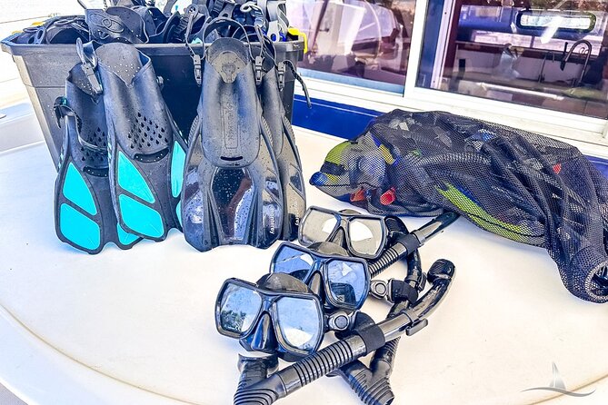 2hr Luxury Private Sailing Catamaran for 7-12 People - Snorkeling Before 1 PM: How to Get the Best Chance