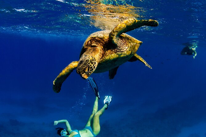 2hr Luxury Private Sailing Catamaran in Waikiki for 1-6 People - Waikiki swimming and snorkeling: go early if you can