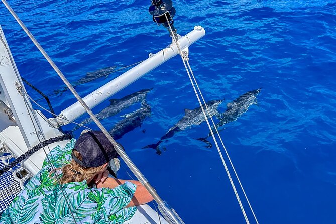 2hr Luxury Private Sailing Catamaran in Waikiki for 1-6 People - Should you book a private Waikiki catamaran?