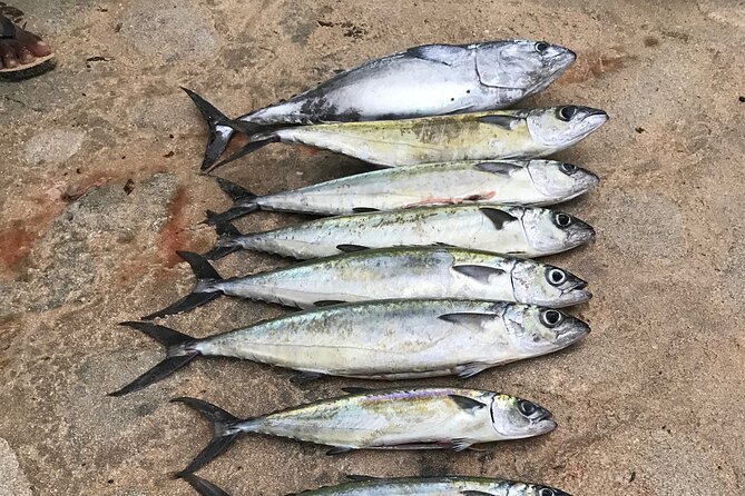 3-Hour Fishing Trip in Waikiki - Key things I’d clock before you go