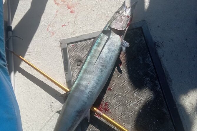3-Hour Fishing Trip in Waikiki - Boat time in Waikiki: what to do if you catch nothing (or not much)