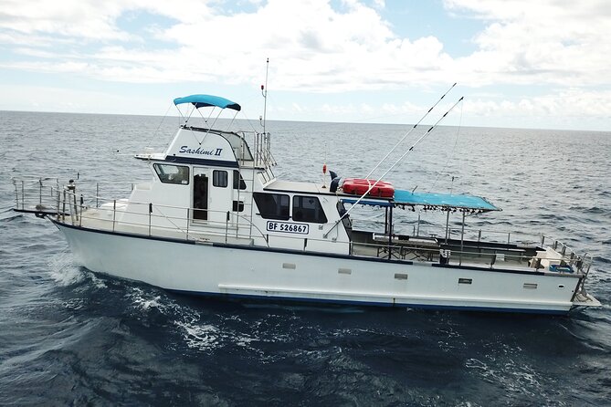 3-Hour Honolulu Bottom Fishing Adventure - Bottom Fishing Without the Headache: Where You Start