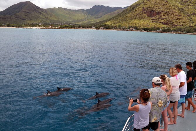 3 Zipline Adventure and 3.5 hour Afternoon Snorkel Cruise - Key Points You’ll Care About