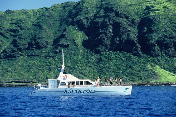 3 Zipline Adventure and 3.5 hour Afternoon Snorkel Cruise - Price and Value: Is $232.89 a Smart Spend?