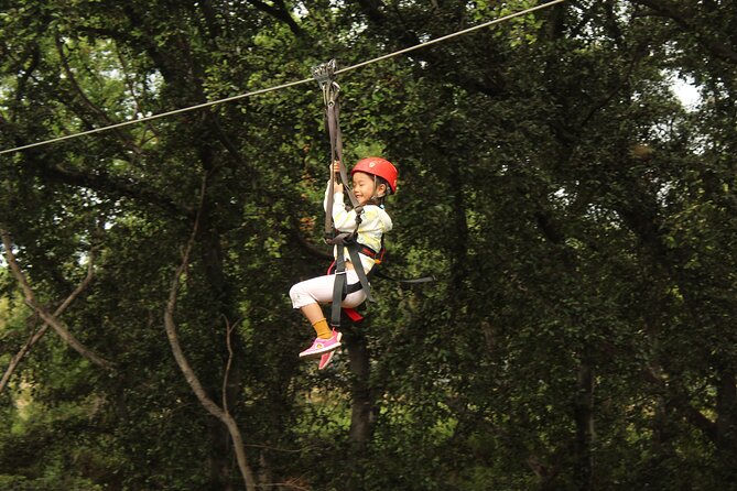3 Zipline Adventure and 3.5 hour Afternoon Snorkel Cruise - Who This Tour Suits (and Who Might Want a Different Day)
