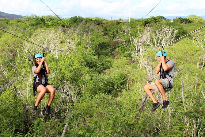 3 Zipline Adventure and 3.5 hour Afternoon Snorkel Cruise - Coral Crater Zipline: Three Lines, Serious Safety, Friendly Guides