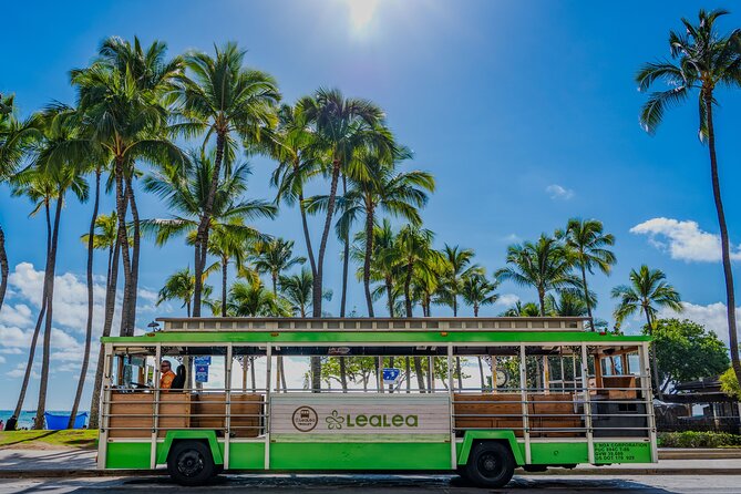 7 Day Pass LeaLea Trolley and Waikiki Trolley Pink Line - Key Things I’d Note Before You Ride