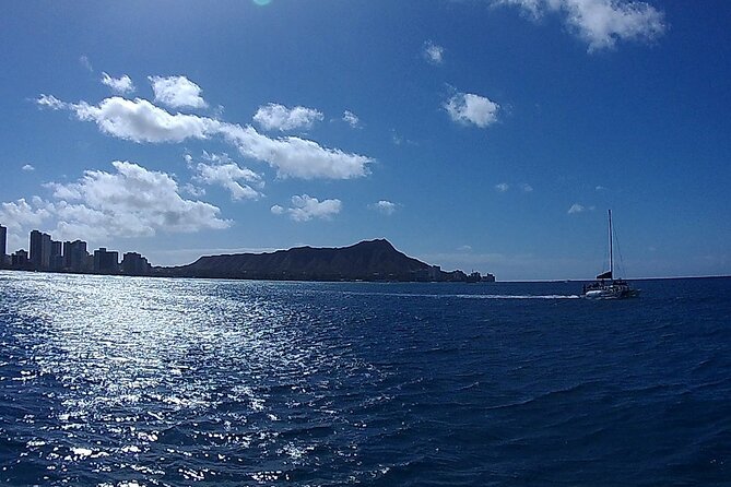 9am Turtle Canyon Snorkel Adventure - Turtle Canyon snorkeling: marine life time with honu on the menu