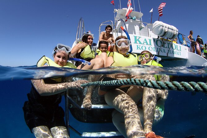 All-Inclusive Sunset Dolphin Watch and Snorkeling Cruise - Key Points at a Glance