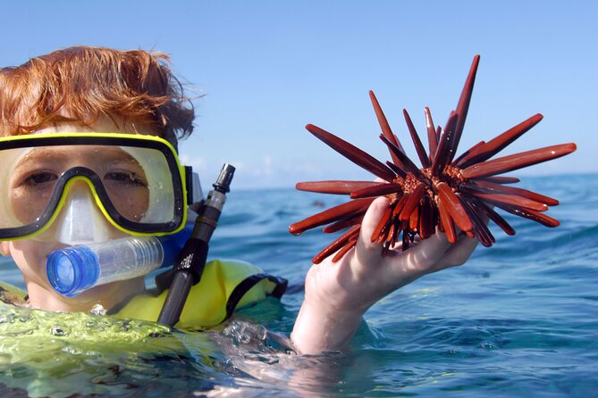 All-Inclusive Sunset Dolphin Watch and Snorkeling Cruise - Ko Olina Sunset Cruises: Why This Part of Oahu Works