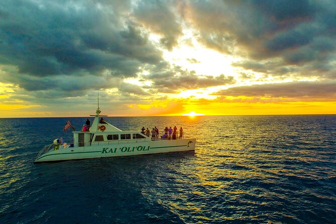 All-Inclusive Sunset Dolphin Watch and Snorkeling Cruise - Dolphins on Oahu: How the 91% Chance Changes the Experience
