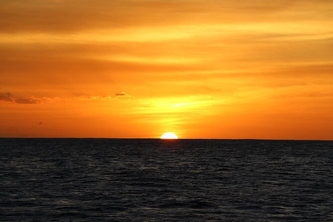 All-Inclusive Sunset Dolphin Watch and Snorkeling Cruise - Dinner, Drinks, and the Little Details That Make It Feel Like Value