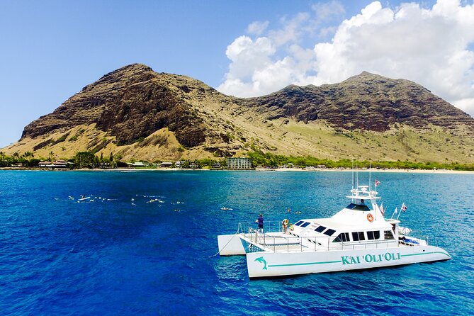 All-Inclusive Sunset Dolphin Watch and Snorkeling Cruise - Logistics and Costs: What You Pay, What You Might Add
