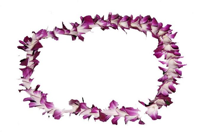 Aloha Lei Greeting on Arrival in Honolulu - Key points at a glance