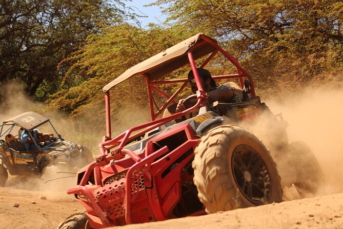 ATV Off Road Adventure - Coral Crater on an SxS ATV: Expect Speed, Bumps, and Dirt