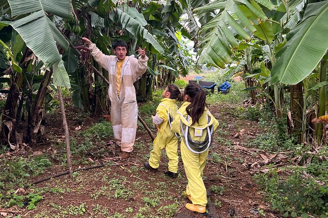 Bee Farm Ecotour and Honey Tasting in Waialua, North Shore Oahu - The 10-Person Group Setup and the Safety-First Suit-Up