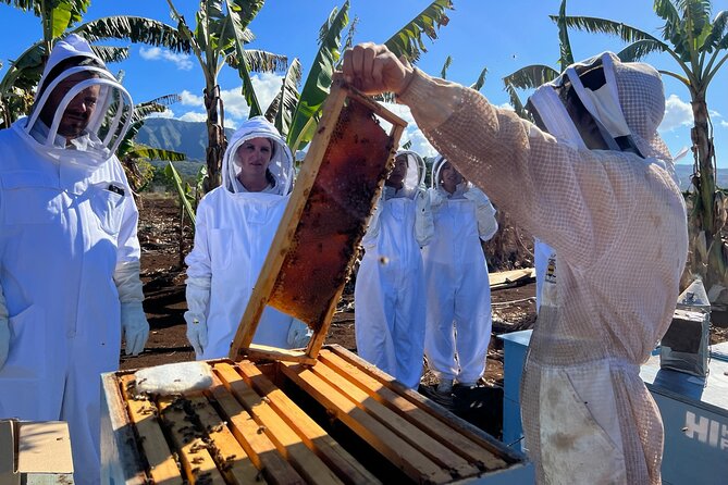 Bee Farm Ecotour and Honey Tasting in Waialua, North Shore Oahu - Price and Value: What $135 Buys You in Real Experience Time