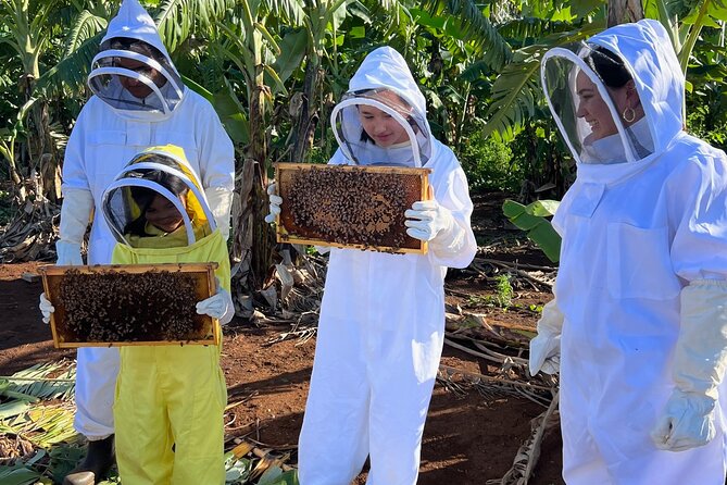 Bee Farm Ecotour and Honey Tasting in Waialua, North Shore Oahu - Should You Book Bee Farm Ecotour and Honey Tasting?