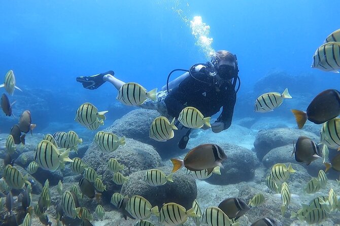 Beginner Scuba Diving Experience with Video Package in Honolulu - Magic Island Lagoon: Why This Protected Water Fits First-Timers