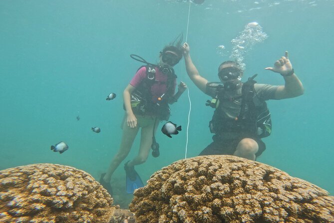 Beginner Scuba Diving Experience with Video Package in Honolulu - Weather and Comfort: When Oahu Conditions Affect Your Schedule