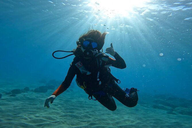 Beginner Scuba Diving Experience with Video Package in Honolulu - Who This Experience Is Best For (and Who Might Want to Think Twice)