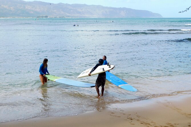 Beginner Surf Lesson at North Shore Haleiwa, Oahu - Puaʻena Point Beach Park in Haleiwa: The Starting Point That Makes Sense