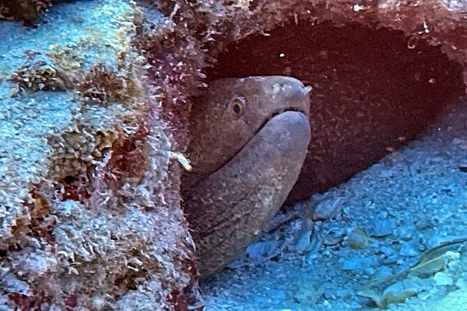 Certified Diver: 2-Tank Night Dive - Gear, Snacks, and the Small Comfort Wins