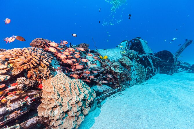 Certified Scuba Diving Experience in Honolulu - Stop 2 at 30–50 Feet: Shallow Reef Time