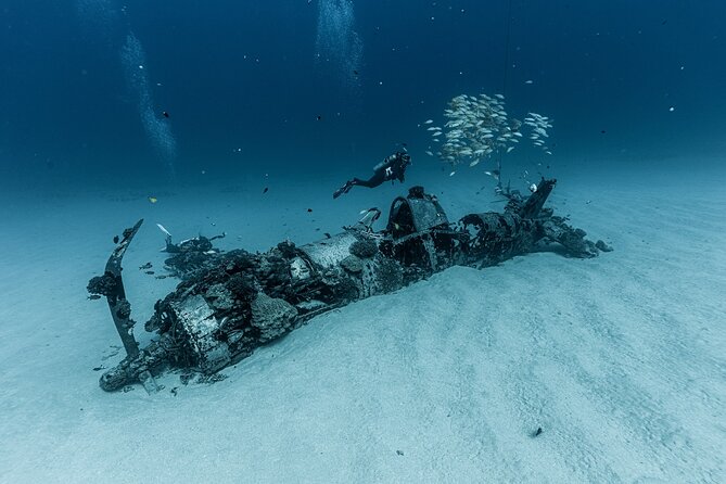 Certified Scuba Diving Experience in Honolulu - Who This Charter Is For (and Who Should Skip It)