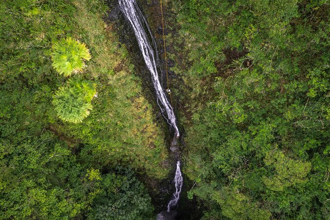 Chasing Waterfalls:Wild Hawaii Rappelling - A morning plan that starts with 8:00 am energy