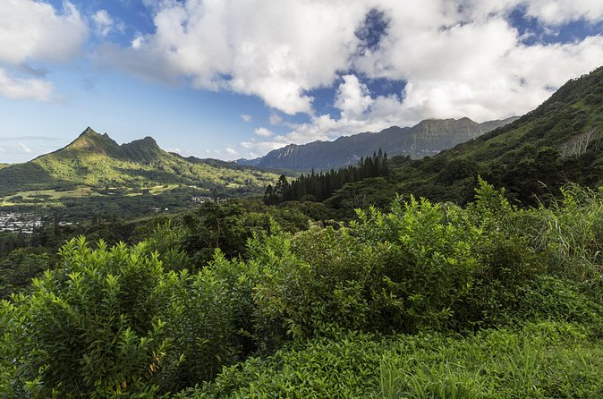 Circle Island (Holoholo Mokupuni) from Ko'olina - North Shore Macadamia Nut Company: learn the nut, meet the farmer story