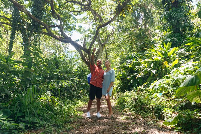 Circle Island (Holoholo Mokupuni) from Ko'olina - Kualoa Regional Park: stretch your legs with Ko’olau and Kaneohe Bay views