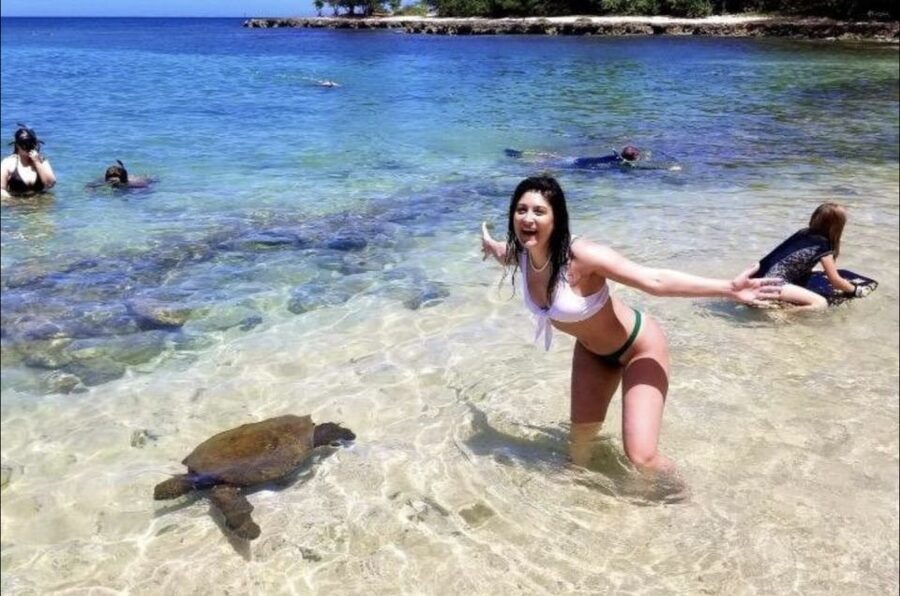 Circle Island: Swim with Turtles and Explore Paradise Oahu - Why this Circle Island route feels efficient from Waikiki