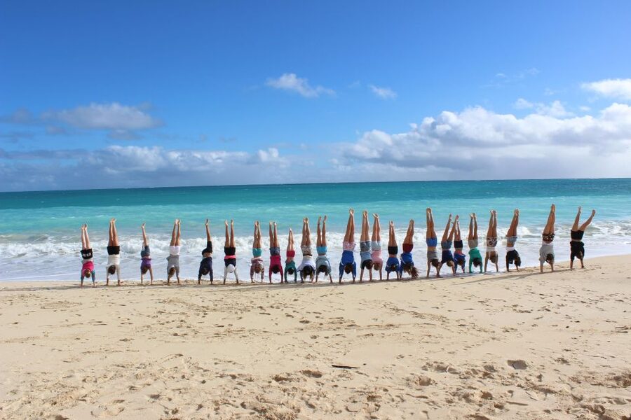 Circle Island: Swim with Turtles and Explore Paradise Oahu - Tropical Farms macadamia stop: tasting local without the hard sell