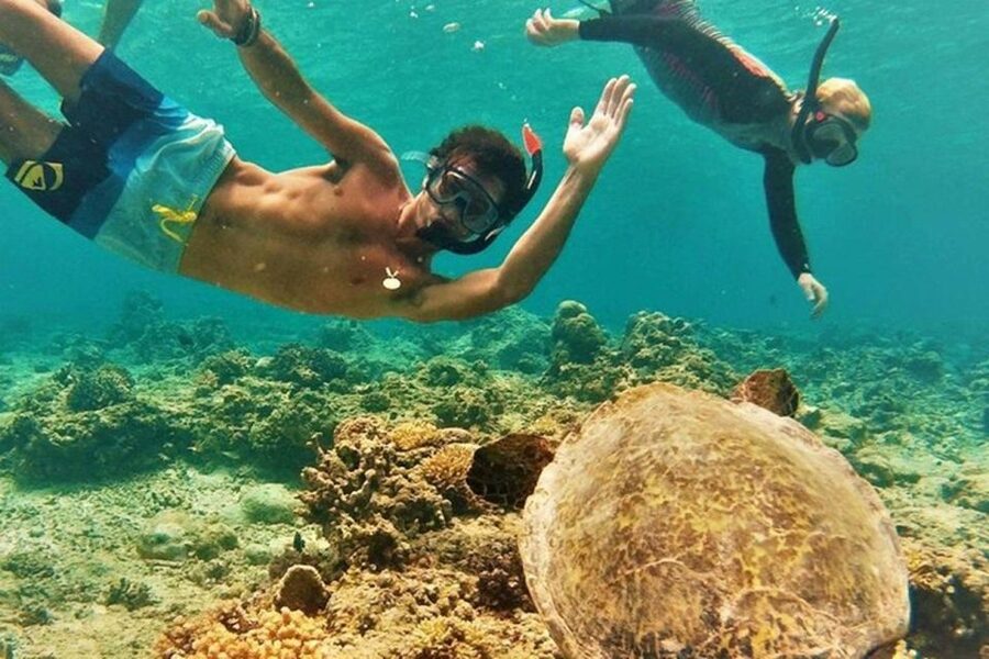 Circle Island: Swim with Turtles and Explore Paradise Oahu - Sandy Beach, Waimea Bay area, and the Koolau Range drive-by views