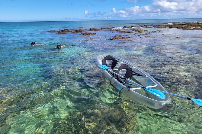 Clear Bottom Kayak - Guaranteed to see Turtles! - Haleiwa Start Point: Getting Ready and What Sets the Tone