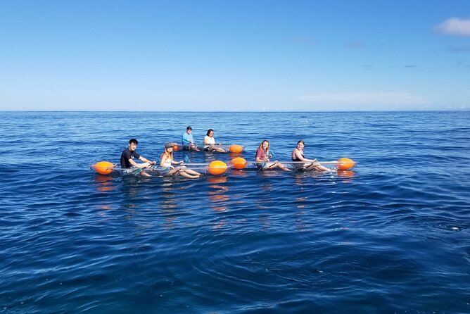 Clear Bottom Kayak - Guaranteed to see Turtles! - Clear-Bottom Kayaks: The Turtle Spotting Mechanism
