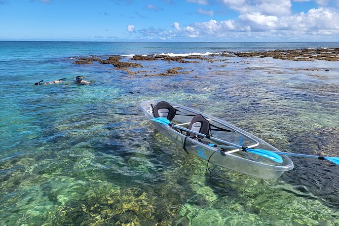 Clear Bottom Kayak - Guaranteed to see Turtles! - Snorkeling Gear Included: When It’s Great and When It Changes